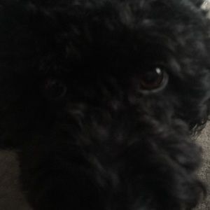 Meet your Posher, Ethan